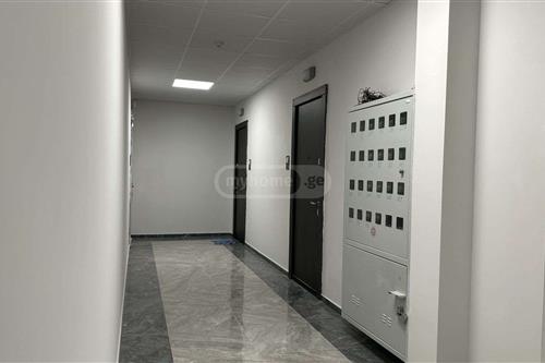 https://static.ss.ge/20230929/6_7319a345-85c9-4a0f-8f98-9f1dce0e9aa7_Thumb.jpg