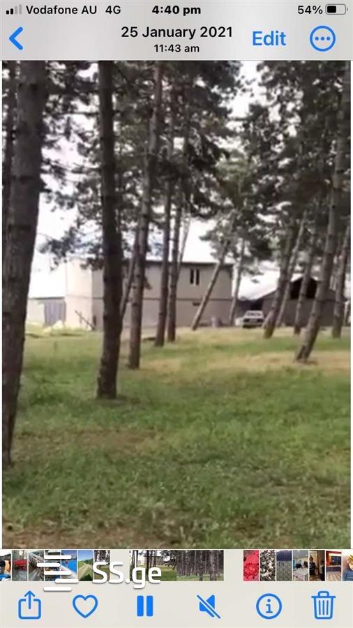 Продажа Commercial Space в хашури view 4