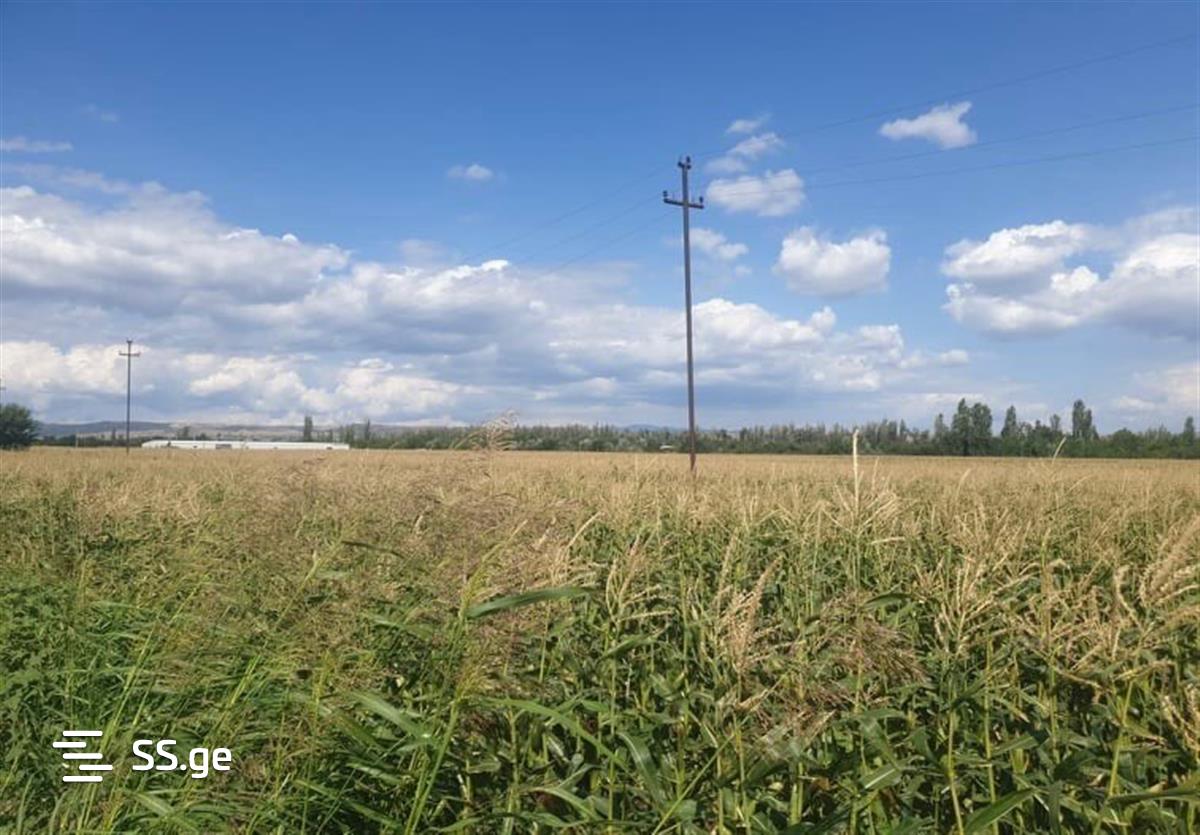 Land For Sale. Gamarjveba view 1