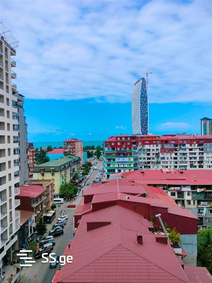 2 Room Flat Daily Rent. Batumi view 11