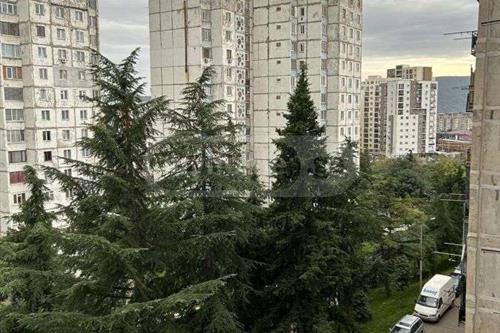 https://static.ss.ge/20231016/12_b38855dd-a257-4b62-949f-b1e15418591e_Thumb.jpg
