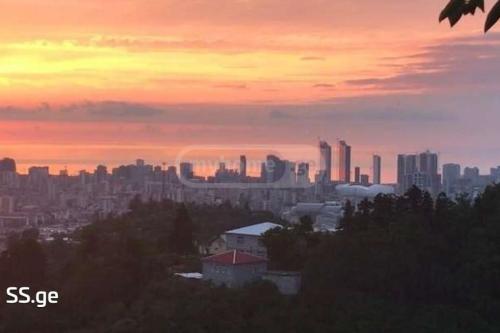 https://static.ss.ge/20231018/6_e896ad81-b45f-4f52-afa0-d097b880387b_Thumb.jpg
