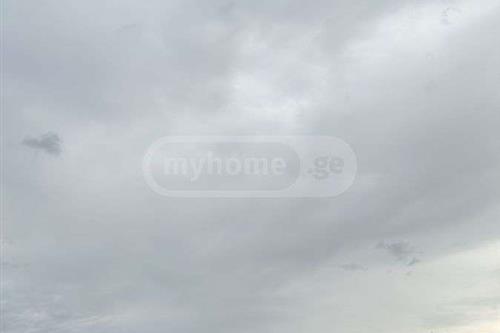 https://static.ss.ge/20231019/10_051db892-ac70-4d32-9d89-943d4dd225cc_Thumb.jpg