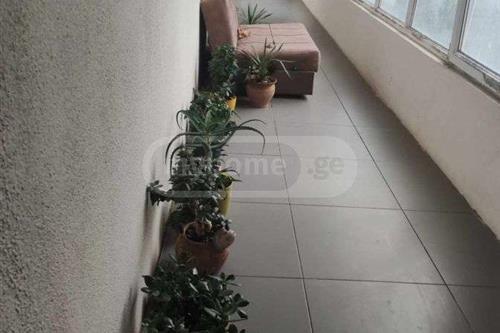 https://static.ss.ge/20231019/11_5c6aaf44-d5a6-4ba0-9eae-091b3f31fea6_Thumb.jpg