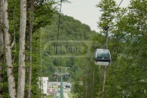 https://static.ss.ge/20231019/7_e76e4594-57ac-47a7-8d52-9e7b615e614b_Thumb.jpg