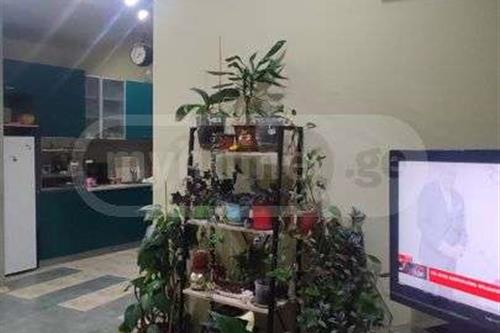 https://static.ss.ge/20231019/8_ffc39d59-0b68-46a8-bcff-ec498643da86_Thumb.jpg