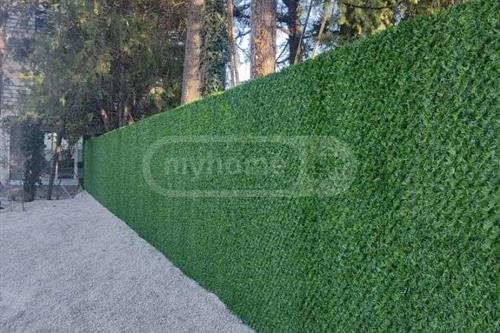 https://static.ss.ge/20231023/18_092a2a67-0fda-46a9-999b-296d8a02035a_Thumb.jpg