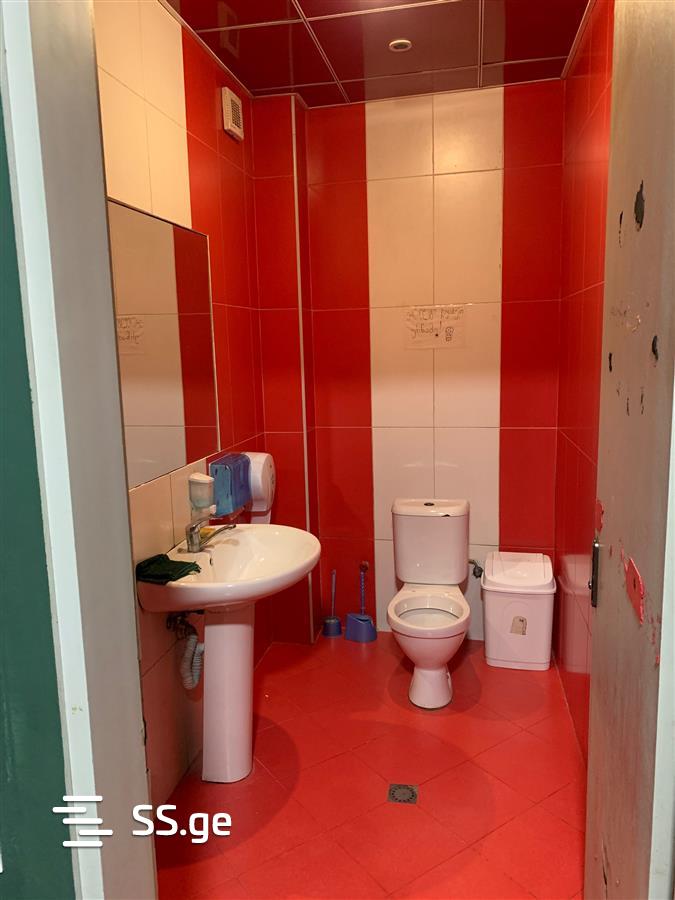 2 Room Private House Daily Rent. Nadzaladevi view 7