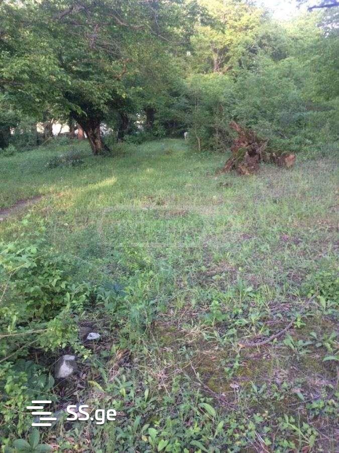 Land For Sale. Akhmeta view 2