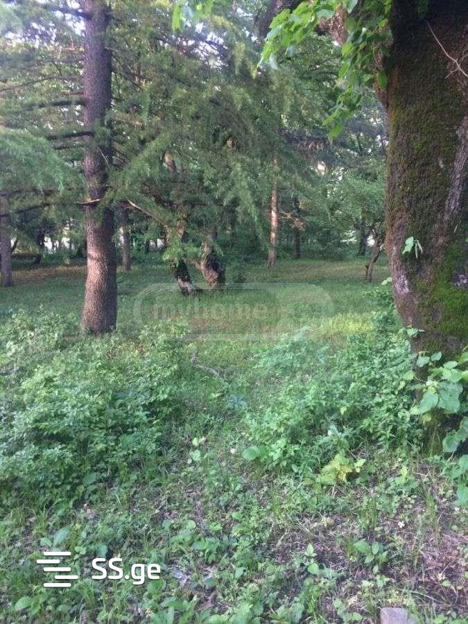 Land For Sale. Akhmeta view 3