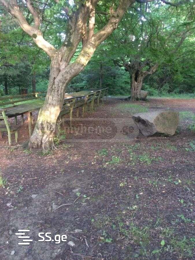 Land For Sale. Akhmeta view 4