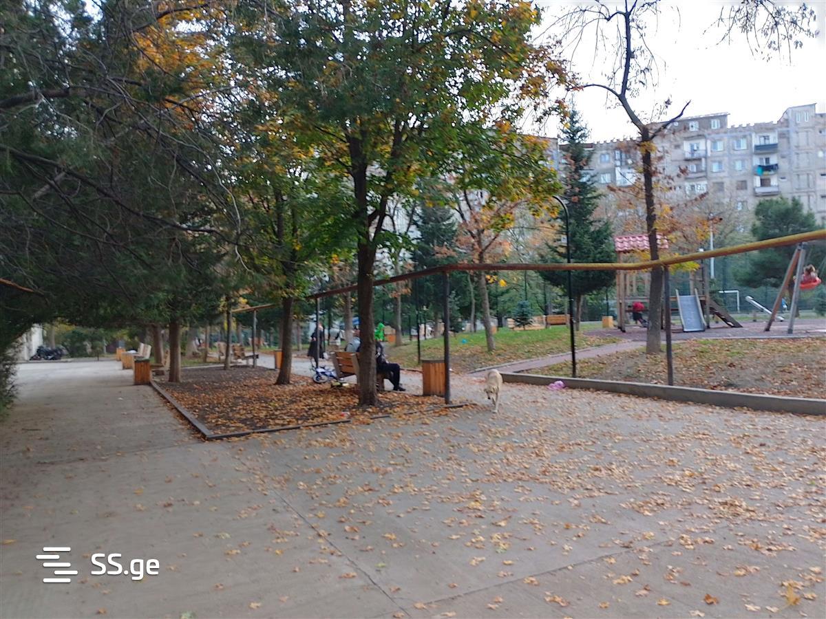 Shopping Property For Rent. Varketili view 5