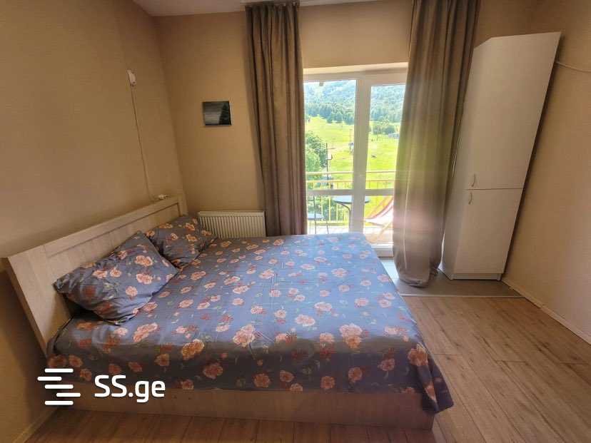 1 Room Flat Daily Rent. Bakuriani, 1 of 4