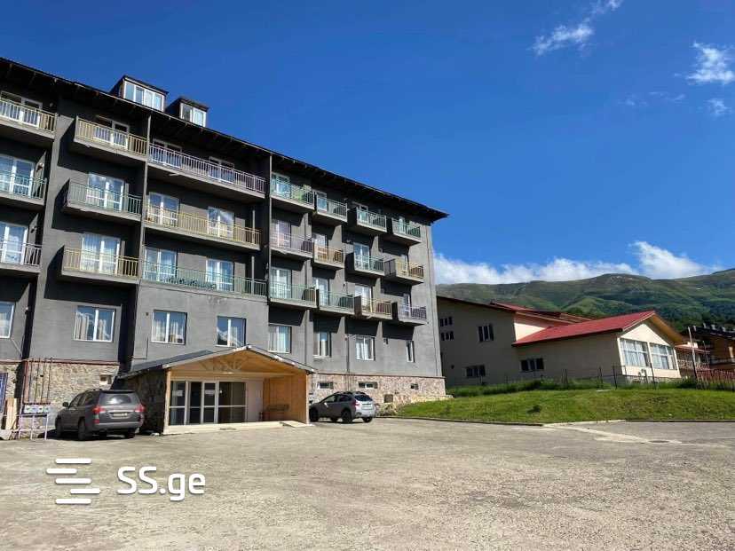 1 Room Flat Daily Rent. Bakuriani view 9
