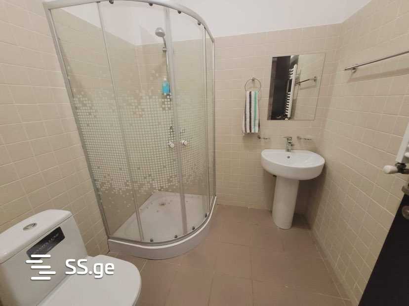 1 Room Flat Daily Rent. Bakuriani view 10