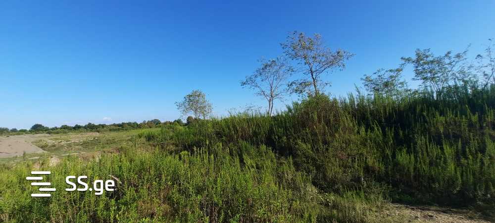 Продажа Земля / участок в Zugdidis Munitsipalitetshi view 17