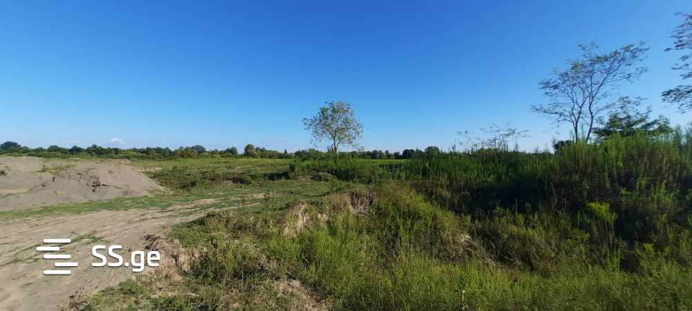 Продажа Земля / участок в Zugdidis Munitsipalitetshi view 21