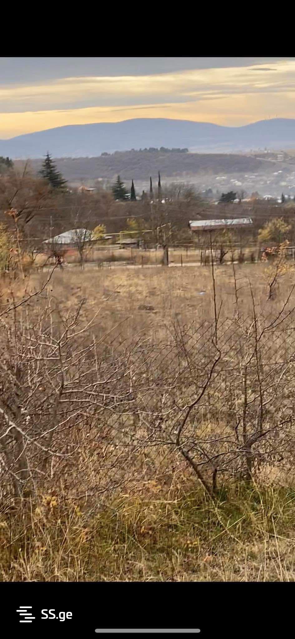 იყიდება Agricultural Plot In Dushetiში view 35