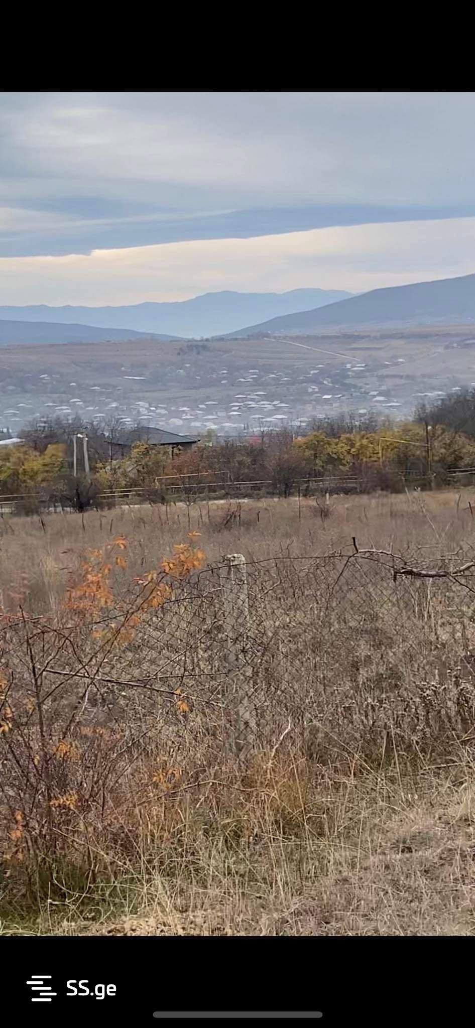 იყიდება Agricultural Plot In Dushetiში view 36