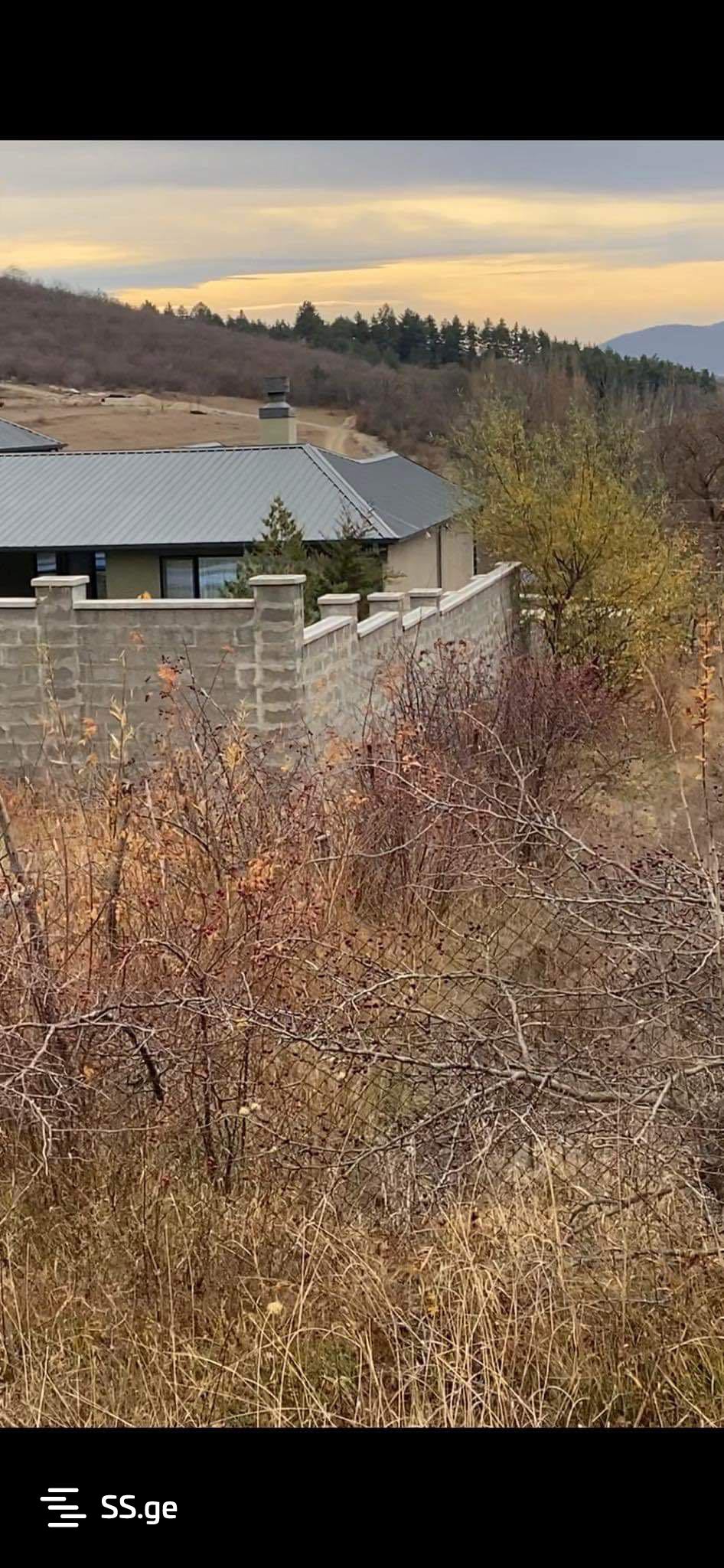 იყიდება Agricultural Plot In Dushetiში view 33