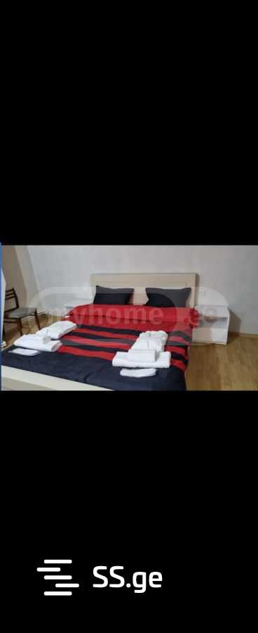 6 Room Summer Cottage Daily Rent. Vake view 6