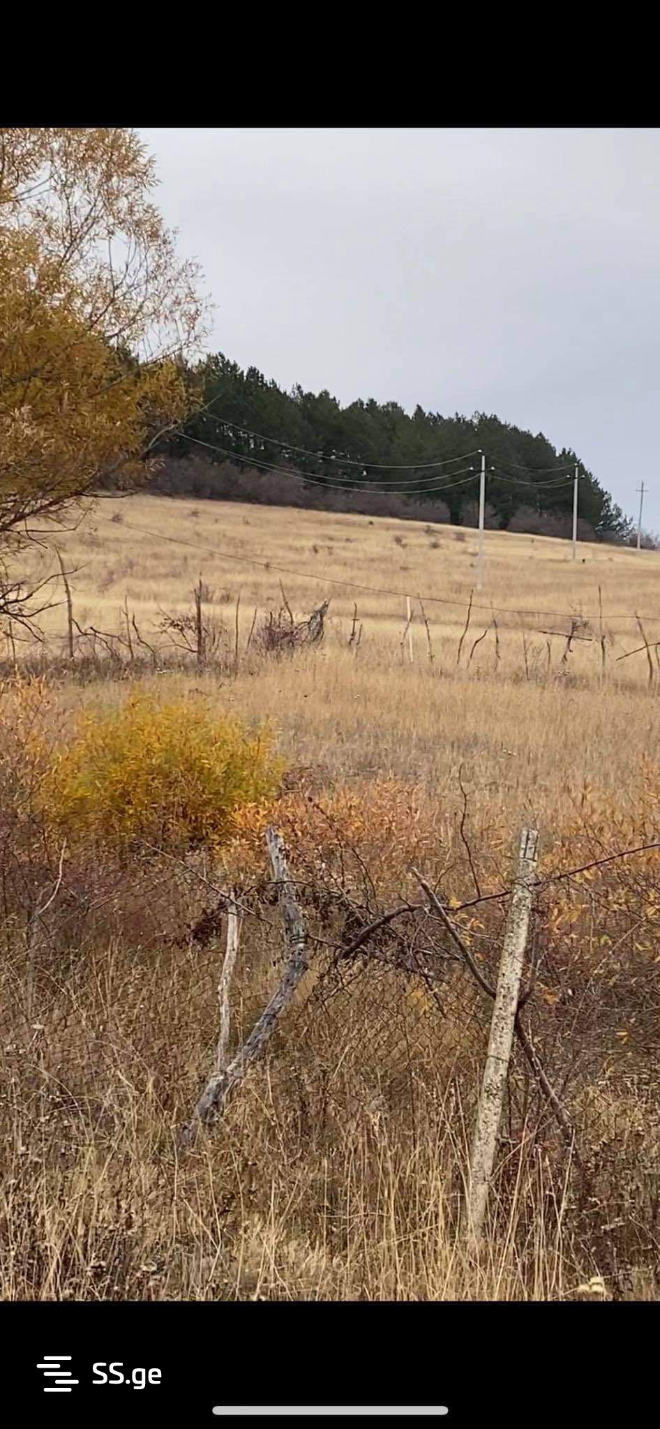 იყიდება Agricultural Plot In Dushetiში view 37
