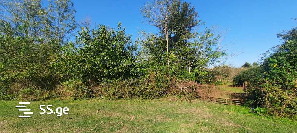 For Sale Sasoplo-Sameurneo Land Plot Zugdidis Munitsipalitetshi view 17