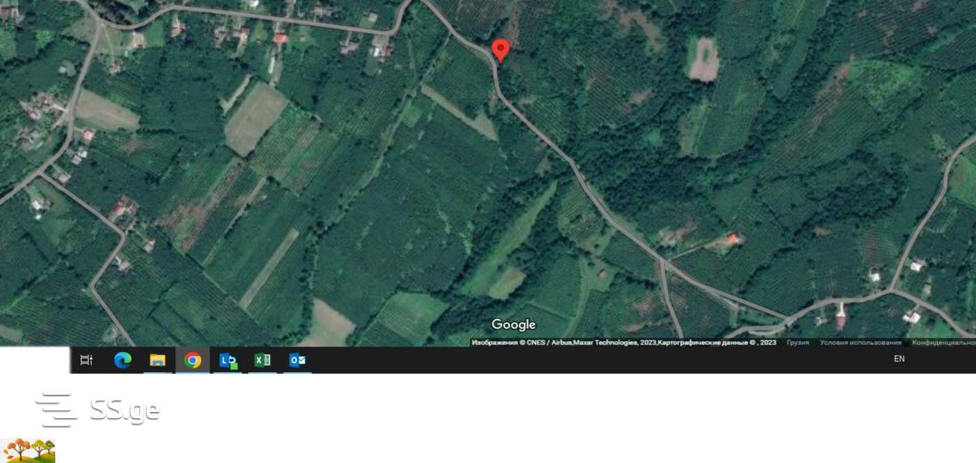 For Sale Sasoplo-Sameurneo Land Plot Zugdidis Munitsipalitetshi view 21