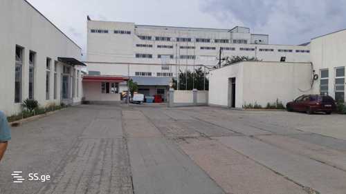 https://static.ss.ge/20231107/16_415c64b1-86a3-4936-ad00-88375fa49ebf_Thumb.jpg