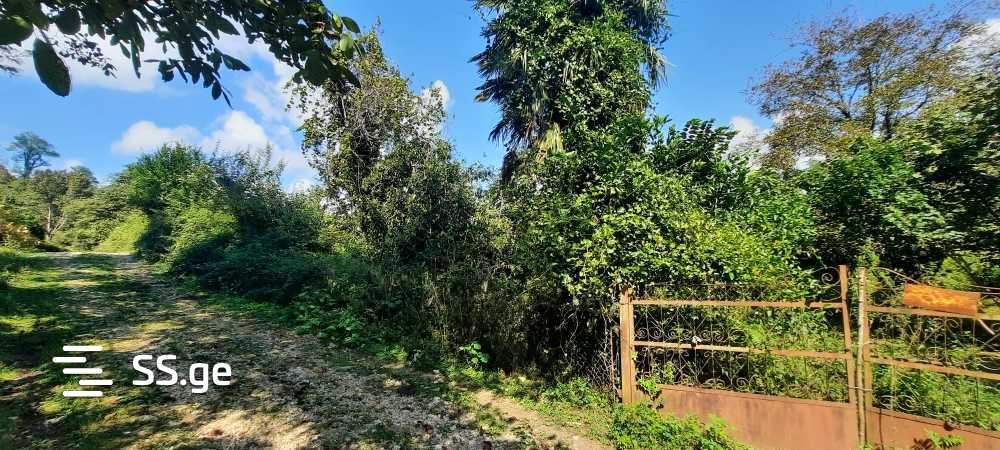 Продажа Земля / участок в Zugdidis Munitsipalitetshi view 8