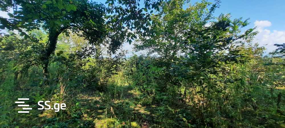 Продажа Земля / участок в Zugdidis Munitsipalitetshi view 10