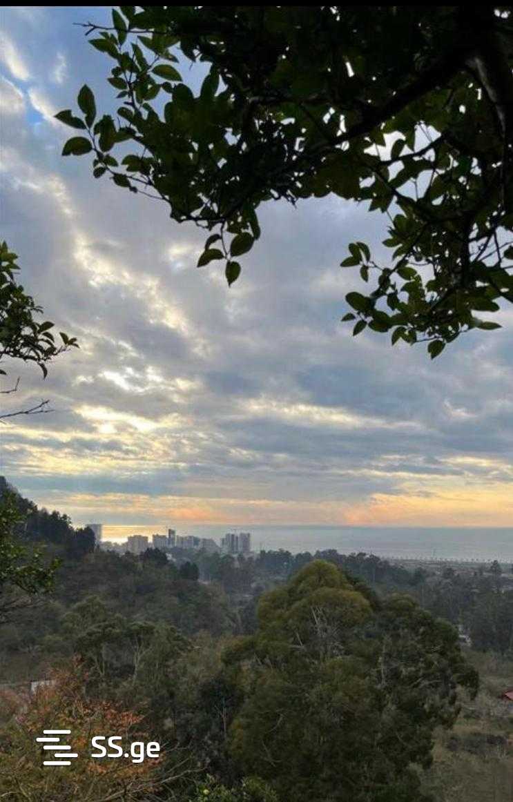 იყიდება მიწა გონიოში view 1