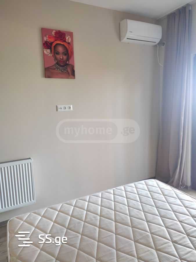 4 Room Summer Cottage Daily Rent. Tamar Settlement view 4