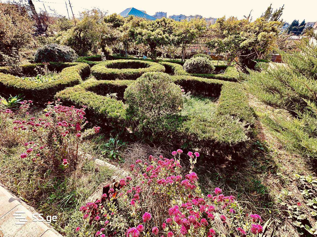 9 Room Private House For Sale view 11