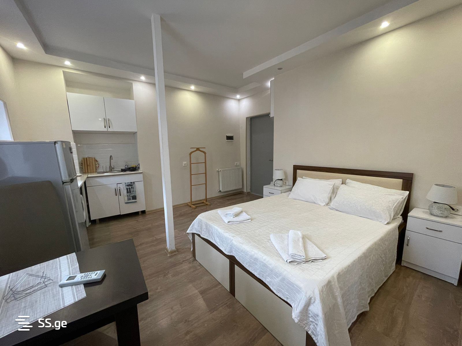 1 Room Flat Daily Rent. Sololaki view 3