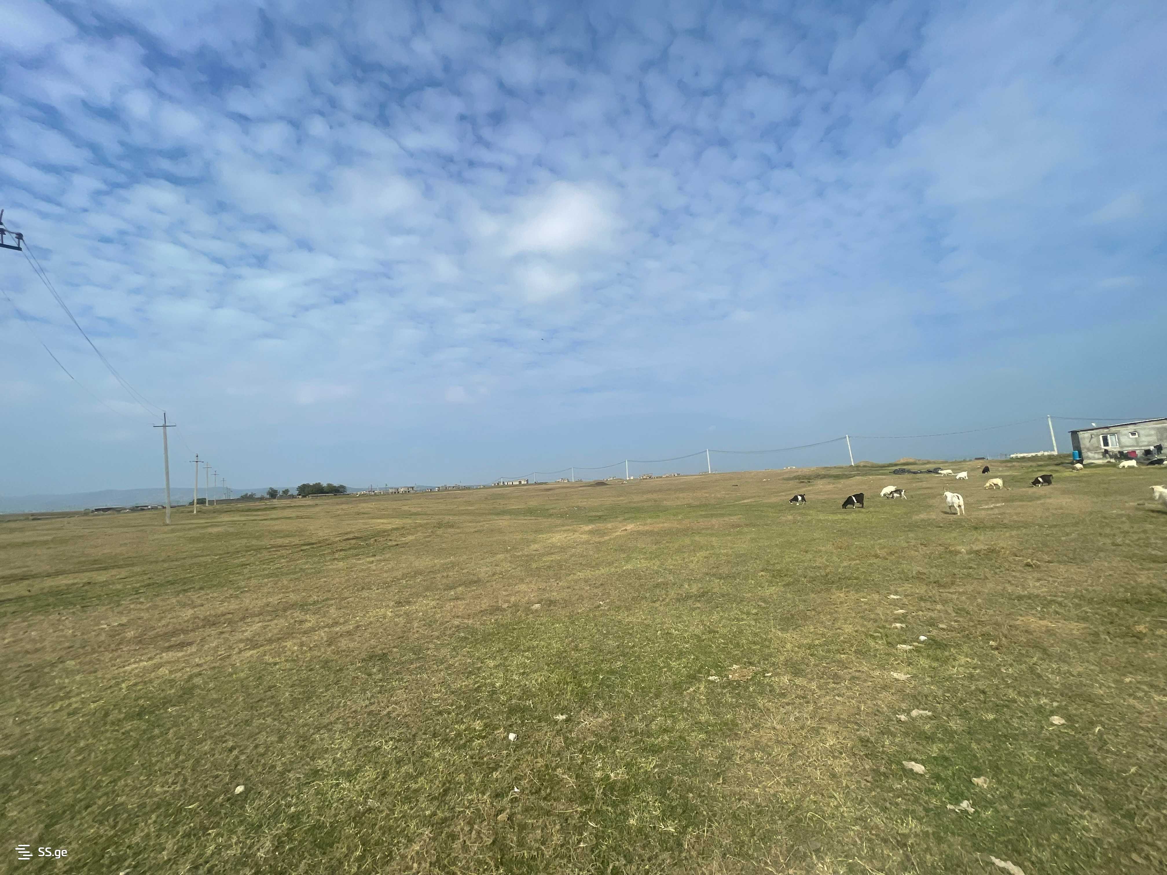 Land For Sale. Gardabani, 3 of 4