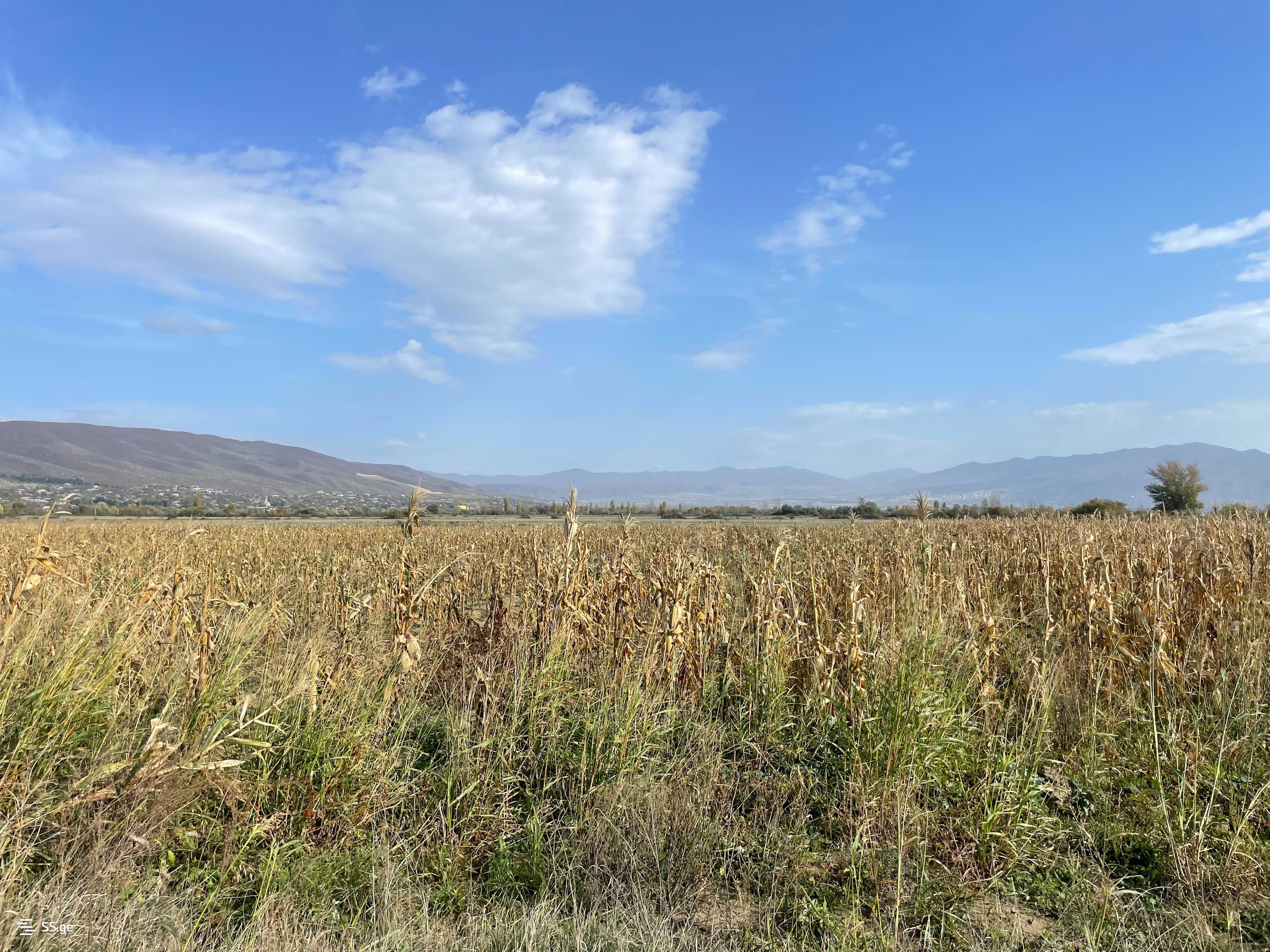 Продажа Земля / участок в Mtskhetashi view 14