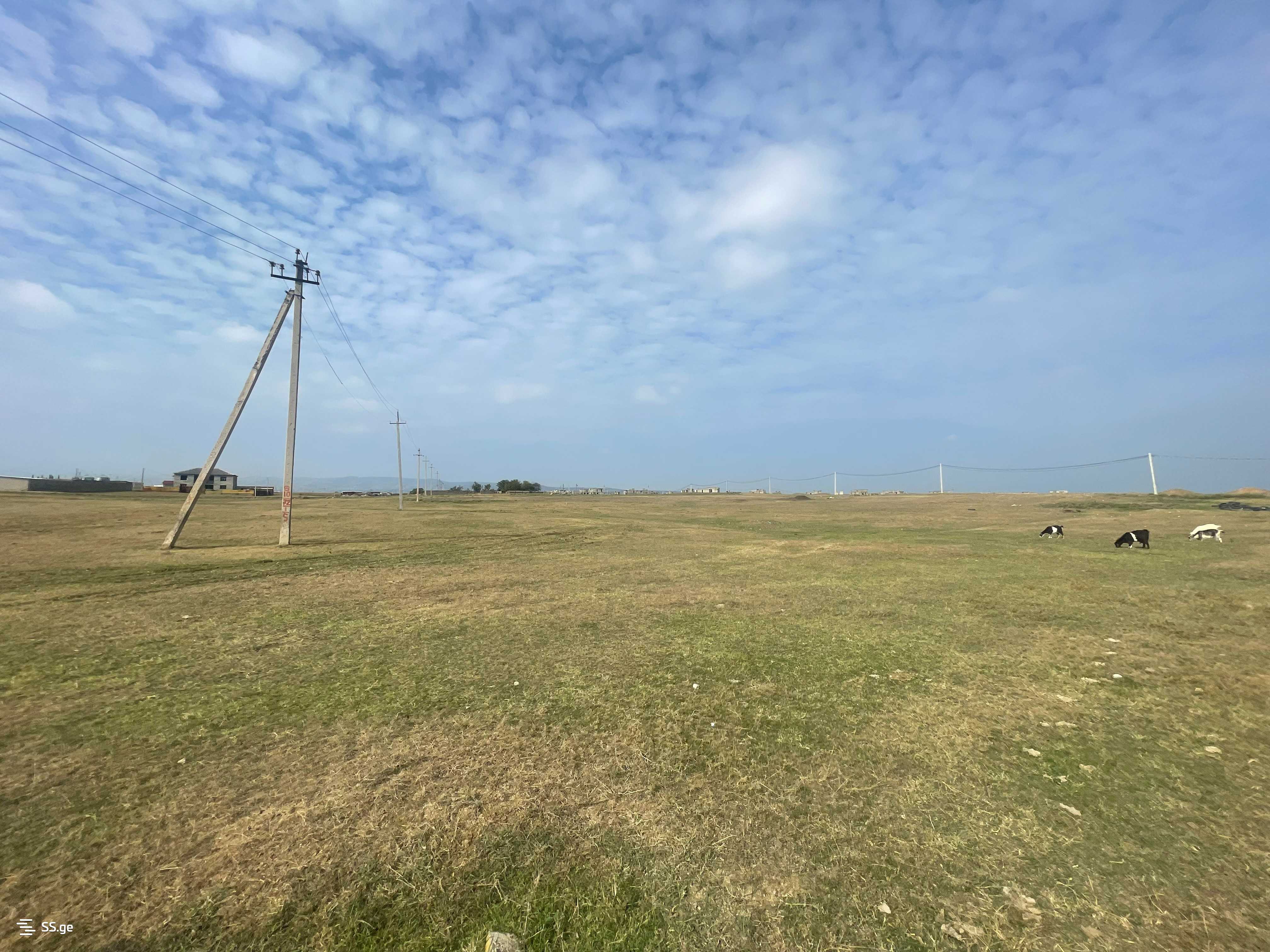 Land For Sale. Gardabani, 1 of 4