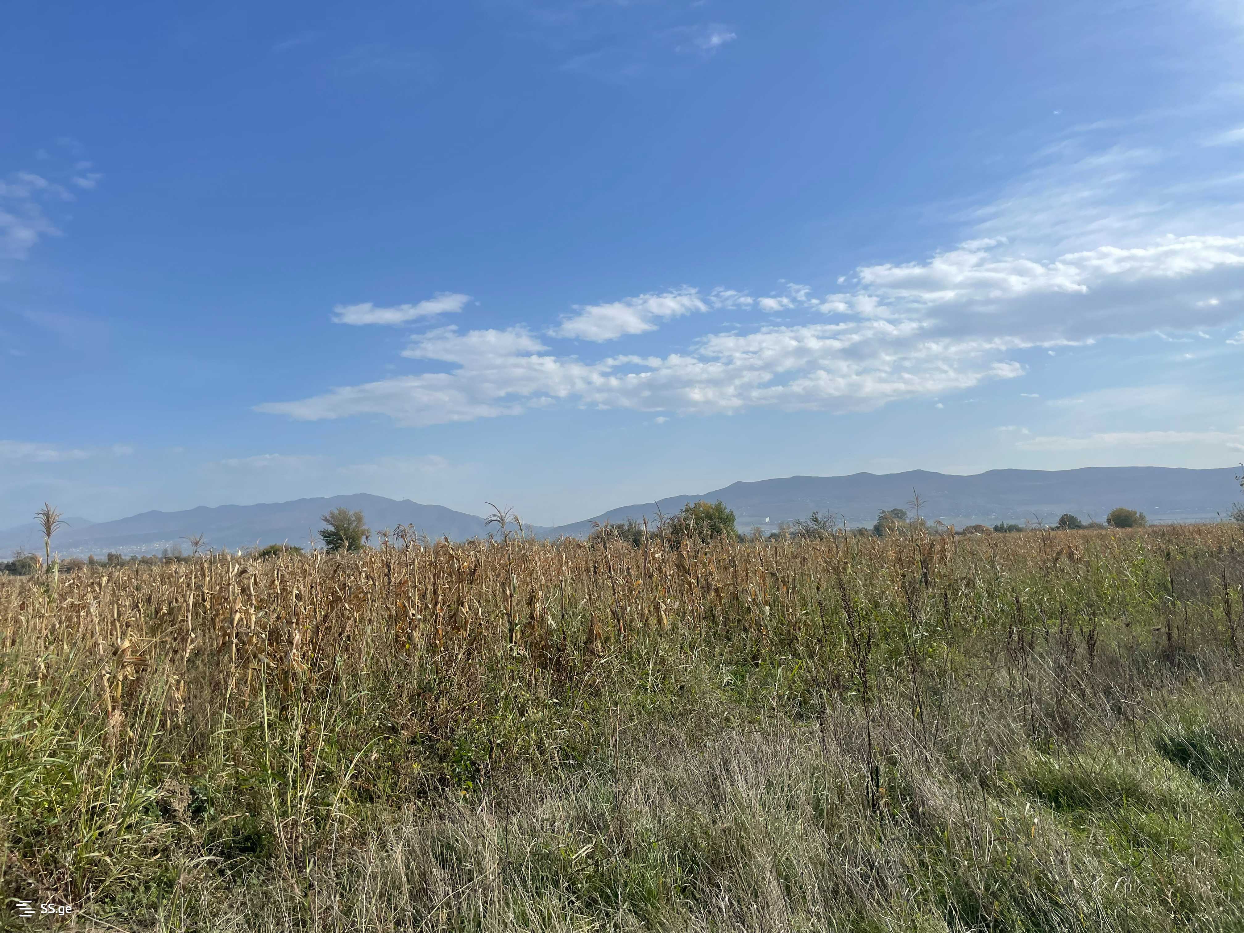 For Sale Sasoplo-Sameurneo Land Plot Mtskhetashi view 8
