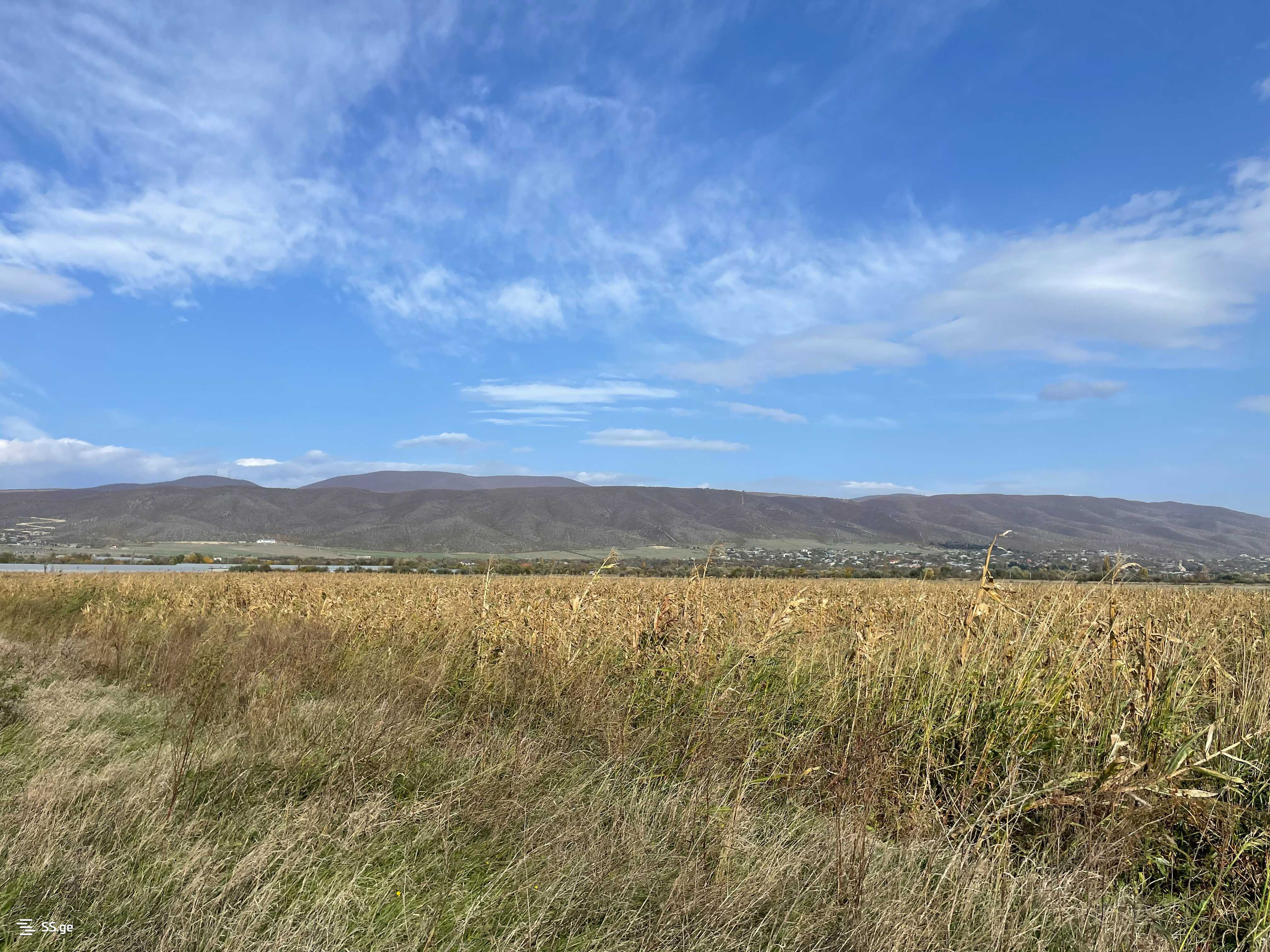 Продажа Земля / участок в Mtskhetashi view 8
