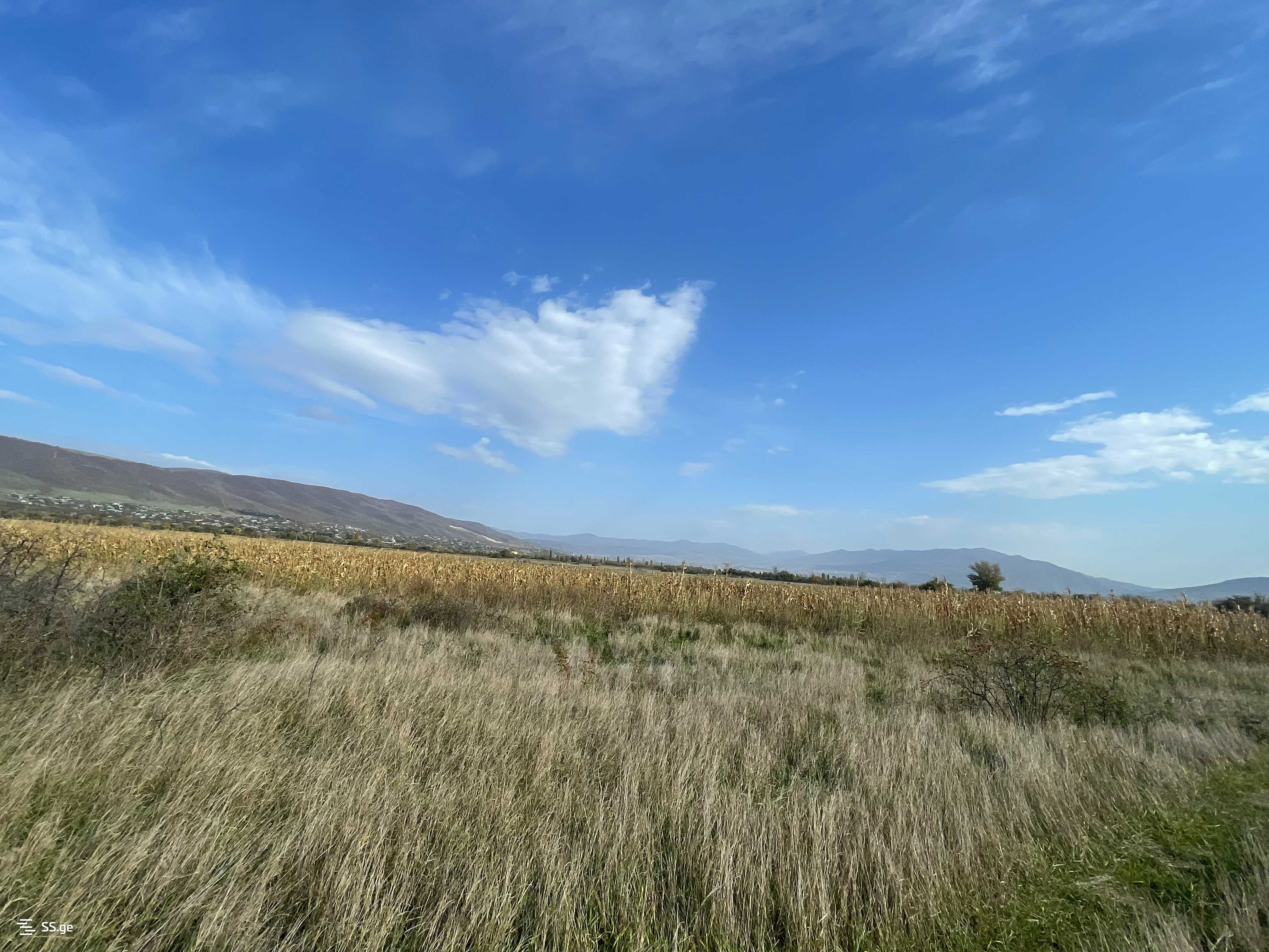Продажа Земля / участок в Mtskhetashi view 10