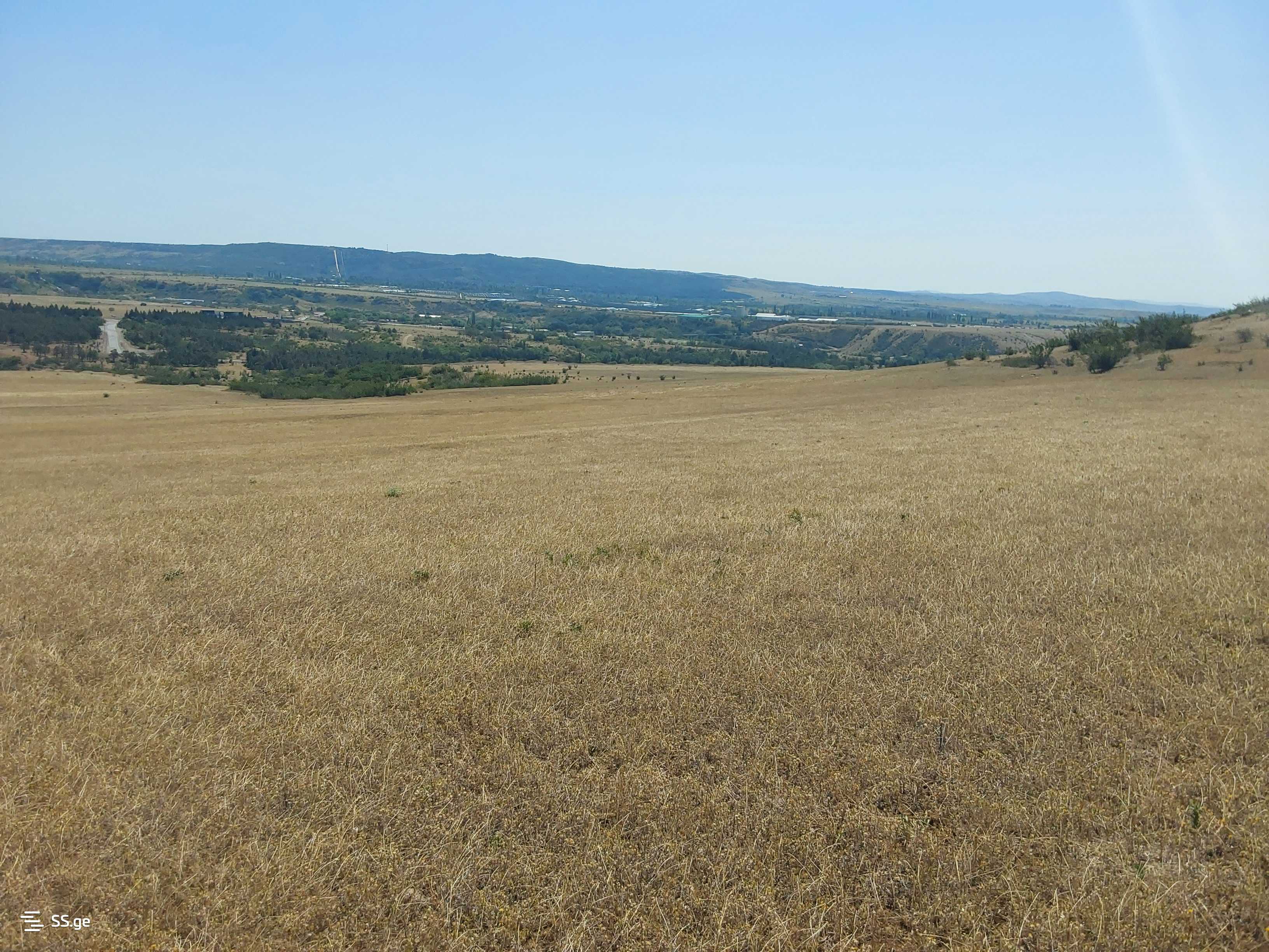 Land For Sale. Gardabani, 3 of 4