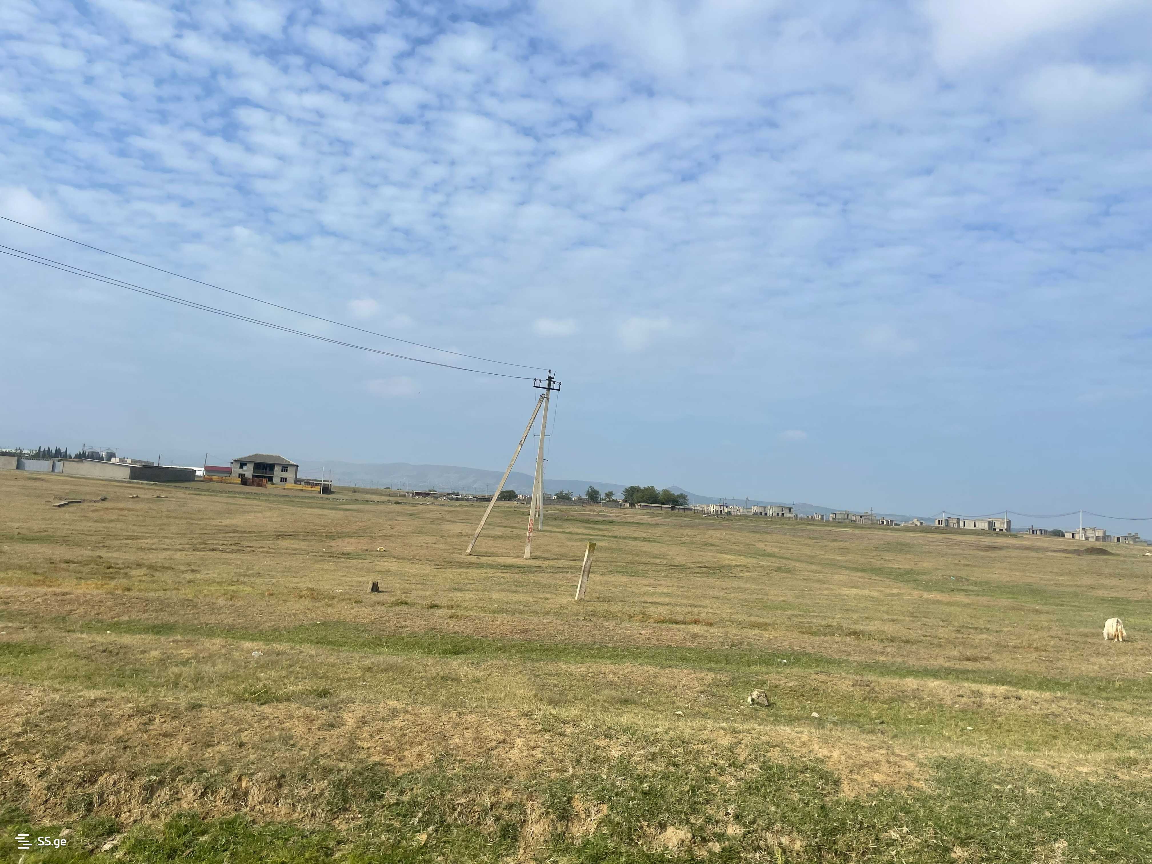 Land For Sale. Gardabani, 4 of 4