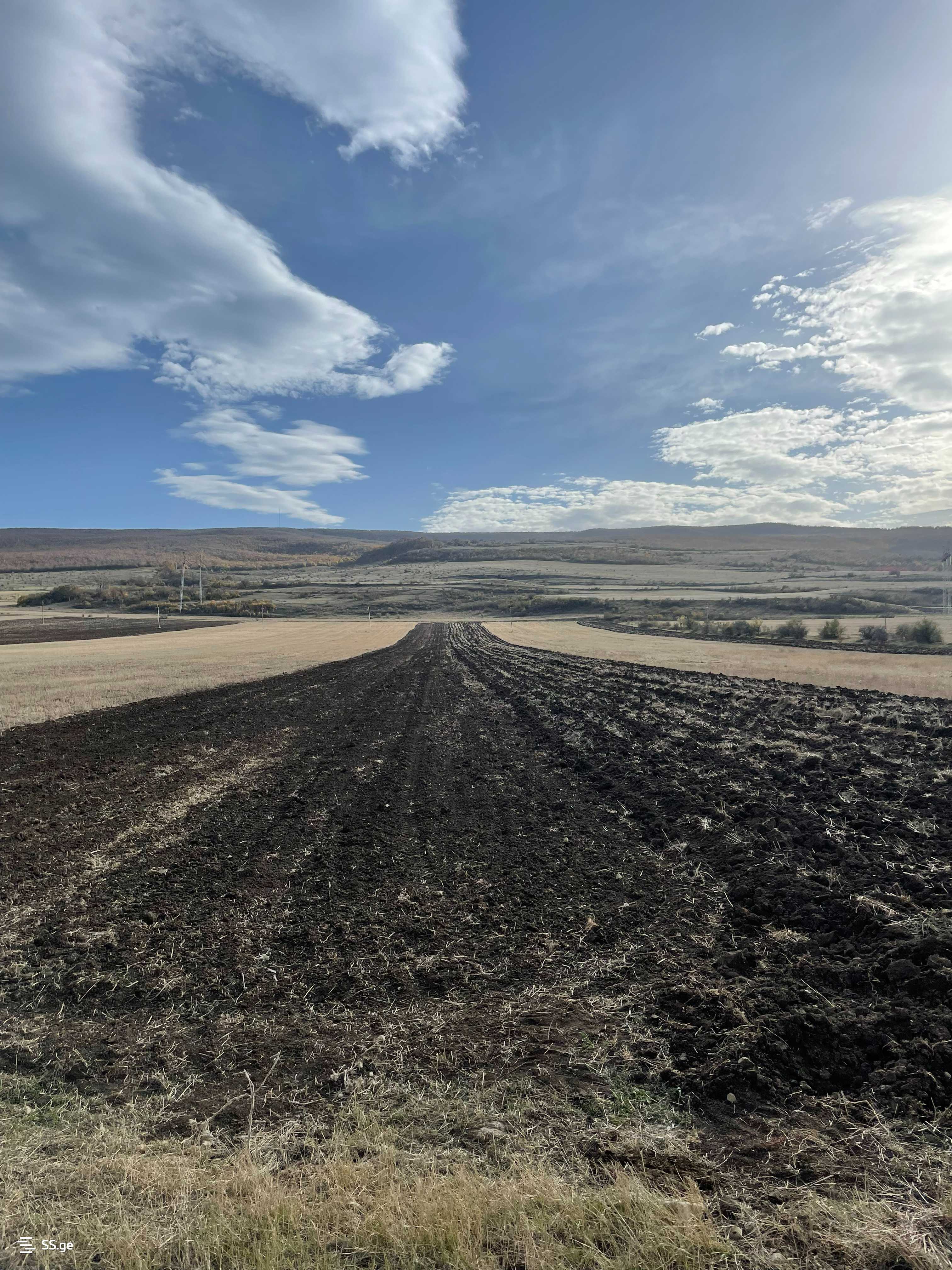 Продажа Земля / участок в Kaspshi view 12