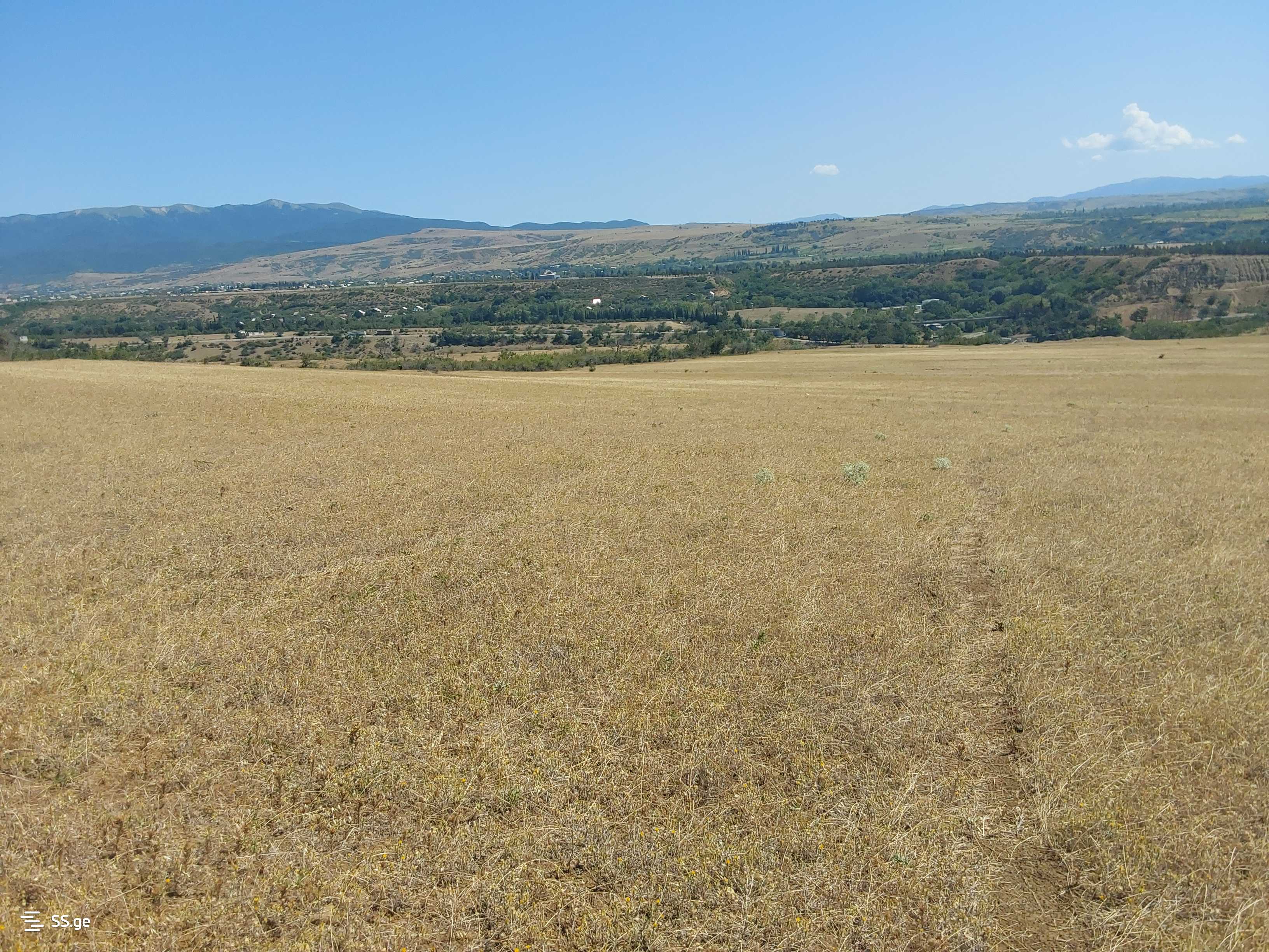 Land For Sale. Gardabani, 1 of 4