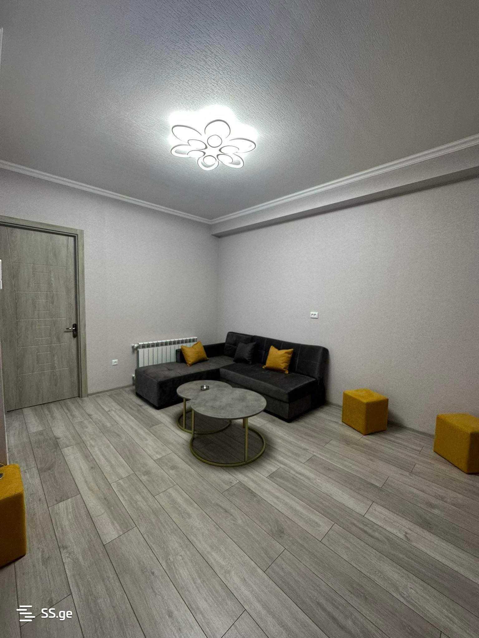 3 Room Flat Daily Rent. Rustavi view 3