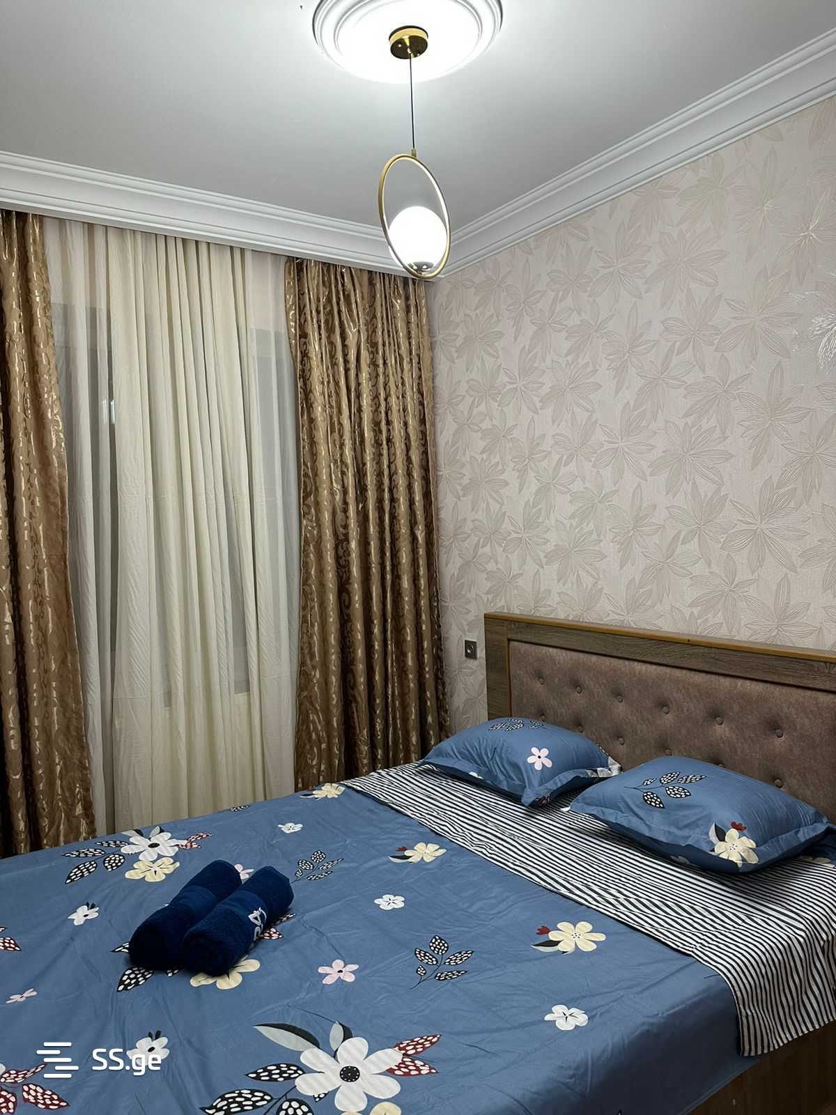 4 Room Flat Daily Rent. Rustavi view 8