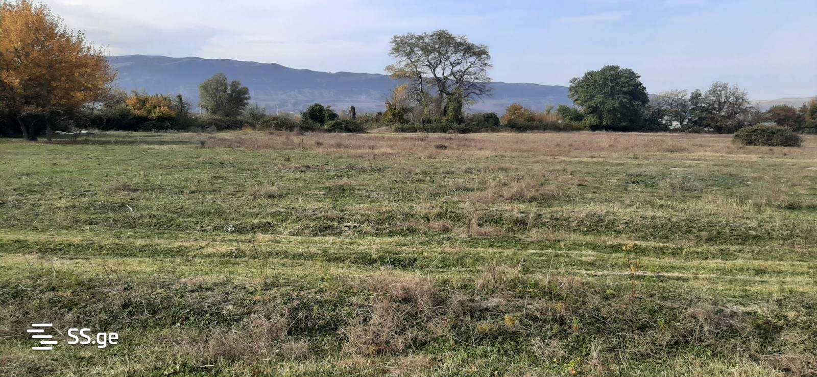 Land For Sale. view 5
