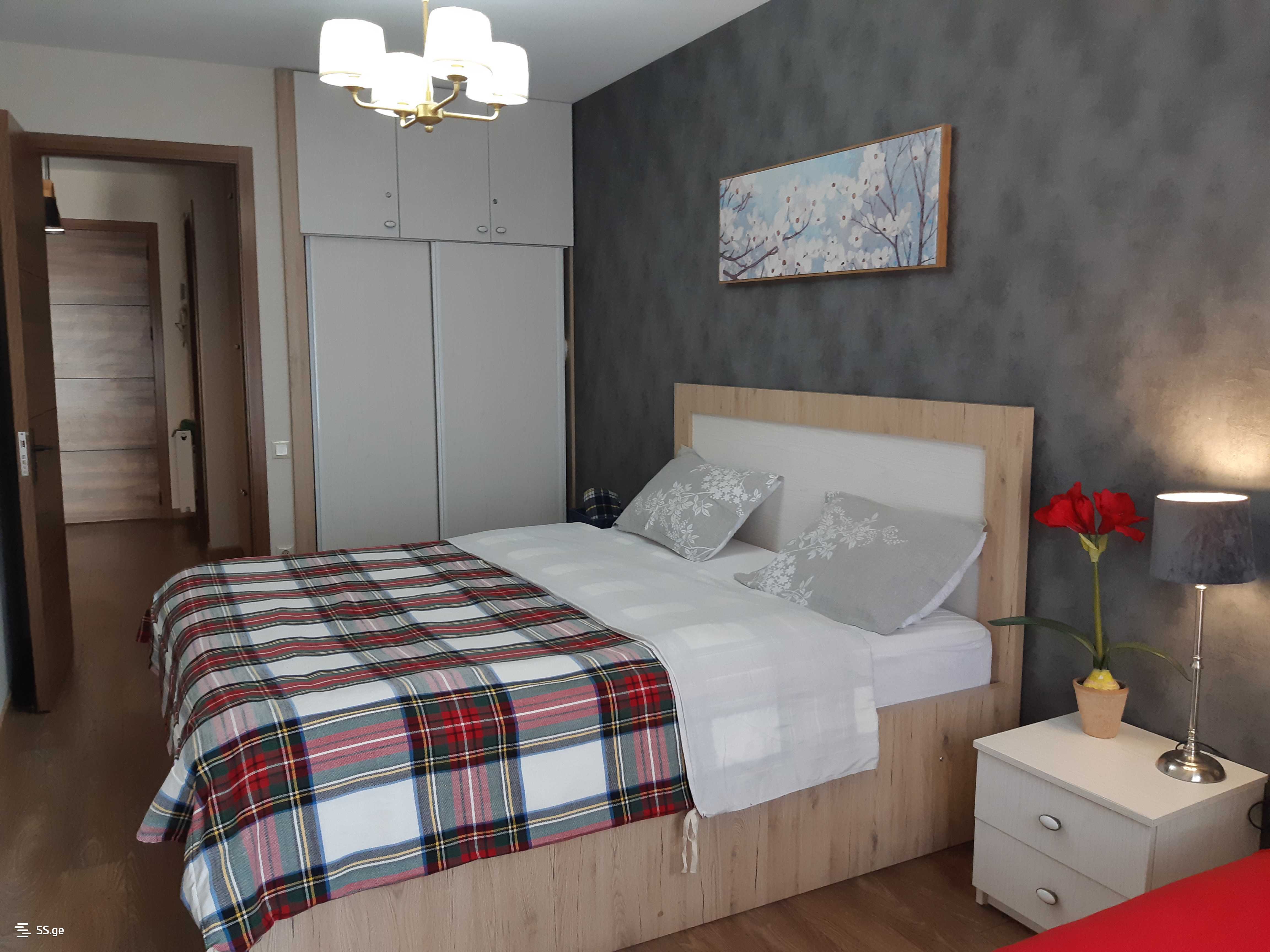 2 Room Flat For Rent. Bakuriani view 7