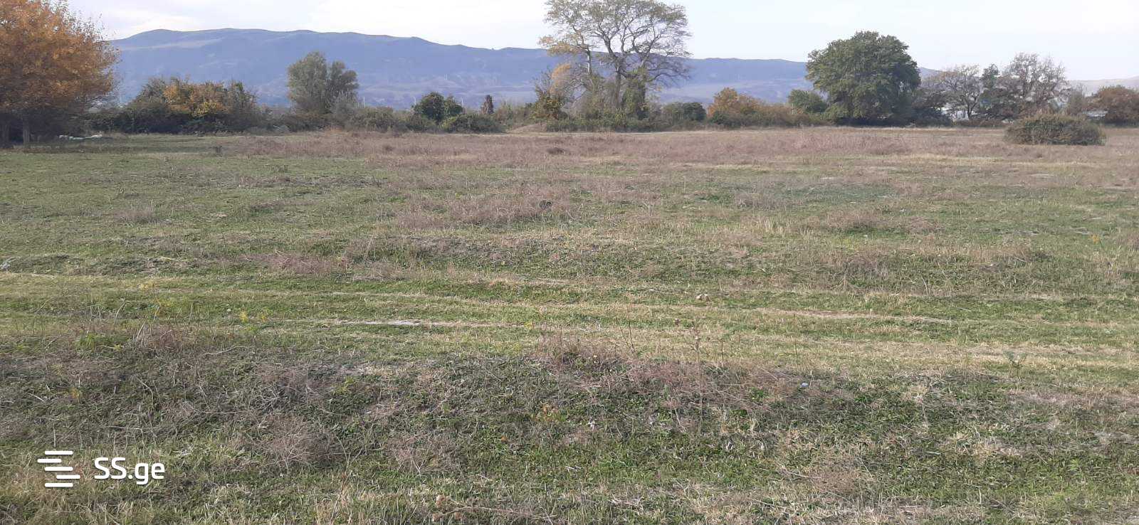 Land For Sale. view 4